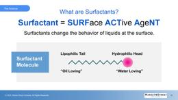 Slide 10 thumbnail