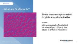 Slide 12 thumbnail