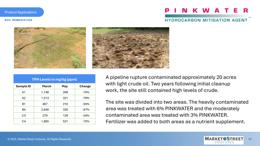 Slide 41 thumbnail