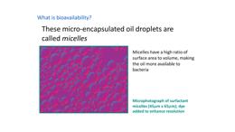 Slide 73 thumbnail