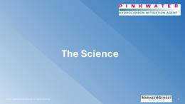 Slide 9 thumbnail